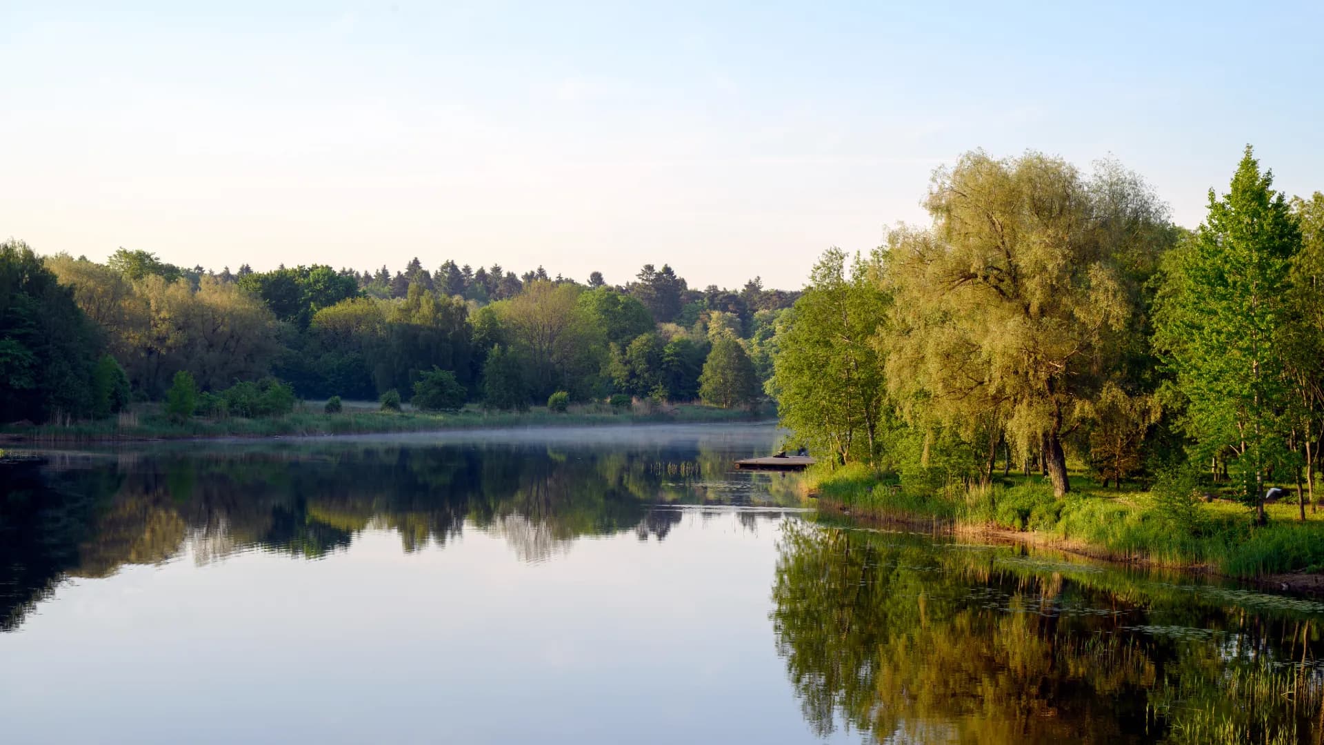 Lövskog som speglar sig i en sjö.