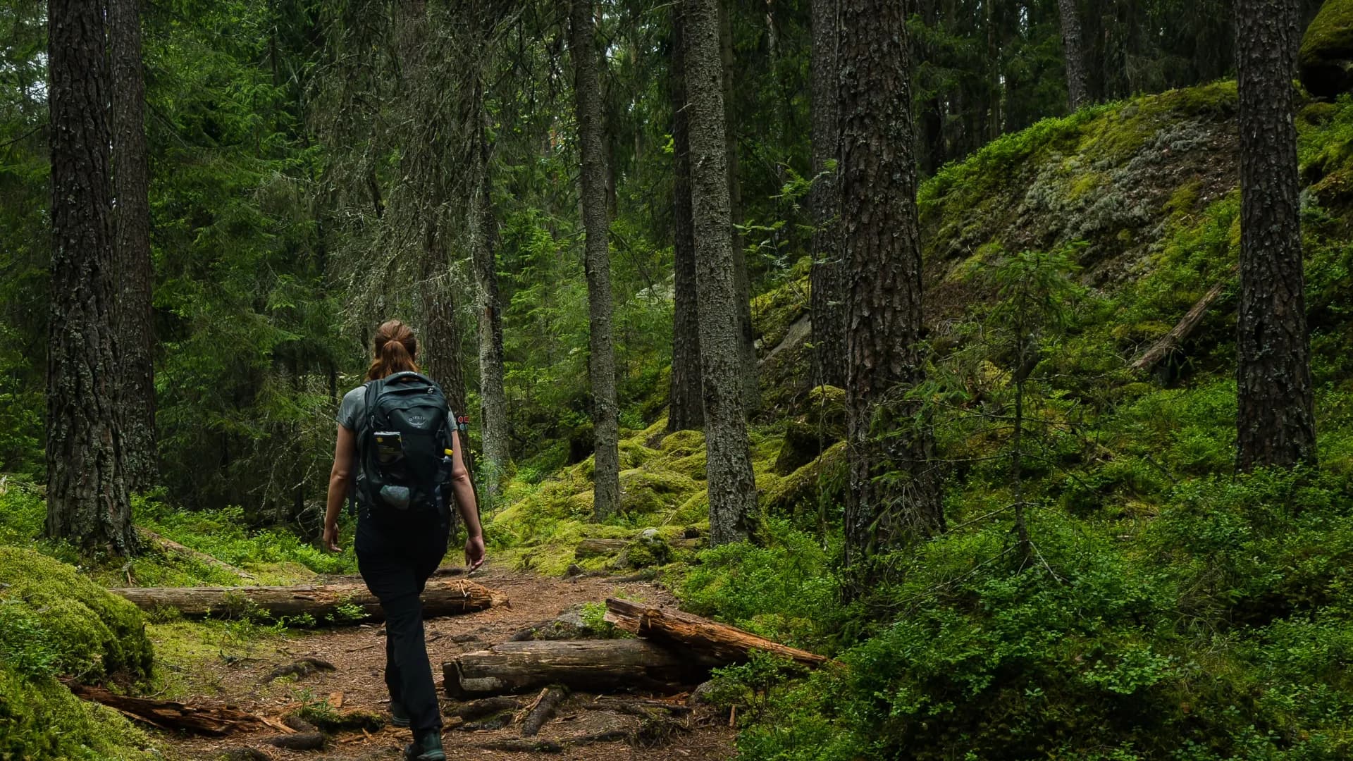 Kvinna som går i en skog.